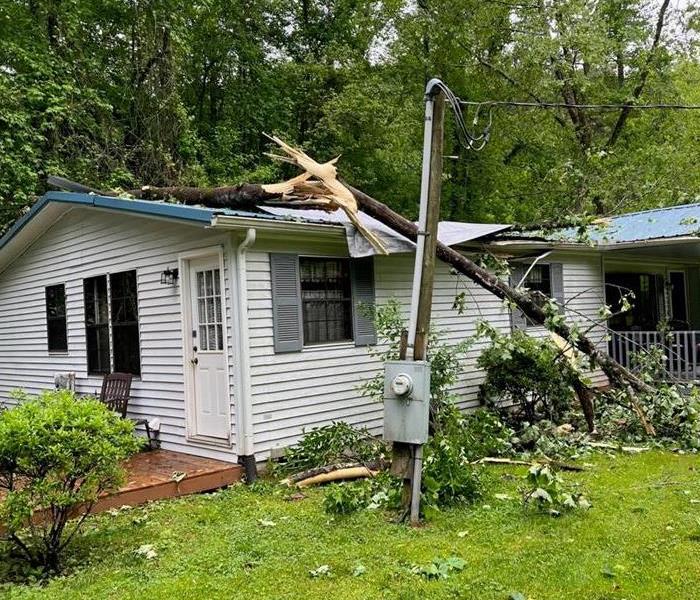 Tree that fell on a customers house in Alcoa Tennessee