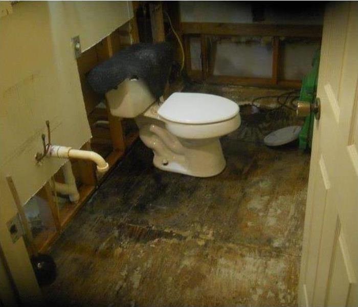 Toilet in bathroom that has been gutted