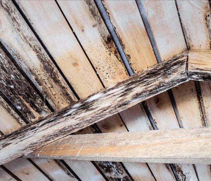 Rotting due to humidity and growth of molds wooden roof structures